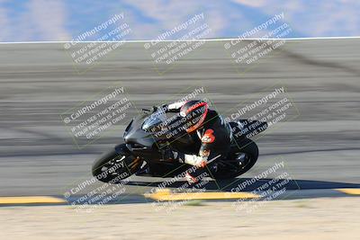 media/Oct-06-2024-Race Pace (Sun) [[d7d39ec7ad]]/5-Bowl Pans (830am)/